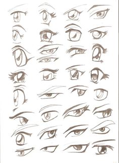 an image of various types of eyes with different shapes and sizes, including the upper half of