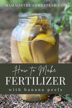 how to make fertilizer with banana peels in a jar on the ground