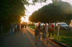 a group of people walking down a street next to tall grass and trees at sunset