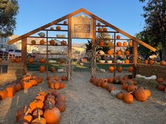 pumpkins and gourds are arranged on the ground in front of a building