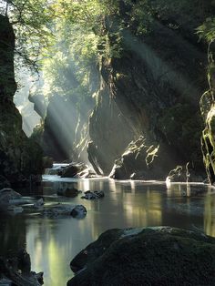 the sun shines brightly through the trees and rocks in this riverbed canyon filled with water