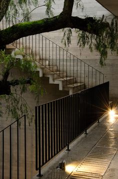 an image of stairs and trees in the rain with text that reads, it's raining