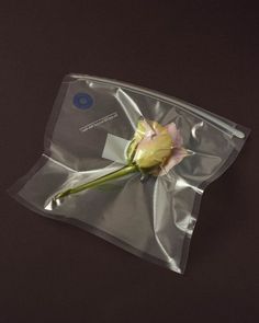 a single rose in a clear plastic bag