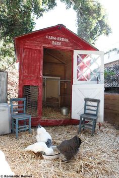 two chickens are sitting in the hay next to a chicken coop that has an open door