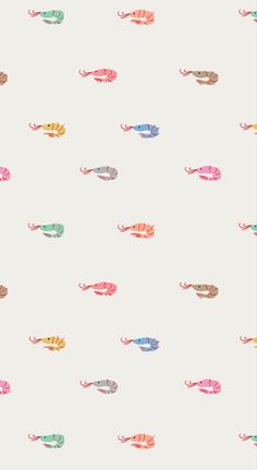 an image of colorful fish on a white background with pink, blue and green colors