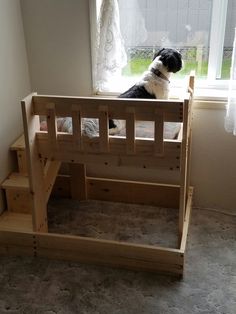 a black and white dog sitting on top of a wooden bed in front of a window