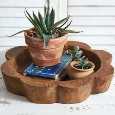 a potted plant sitting on top of a wooden tray filled with books and plants