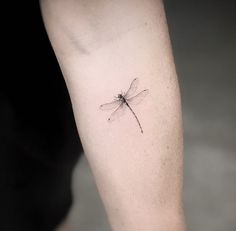 a small dragonfly tattoo on the left leg and right arm, it is black and white