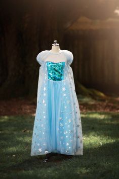 Our iconic Ice Queen Gown, now available for women! This matches perfectly with our girls' Ice Queen gown, and our Ice Queen Doll Dress! The sheer embellished cape is attached to layers of tuling and a sparkly sequin bodice. Finished off with puff sleeves and sweet trim, this dress is a real gown and not a cheap plastic costume. We are never itchy and never use glitter. A tremendous value for such cuteness. 100% poly self, fully lined and back button. Hand wash, hang dry. DO NOT WASH IN MACHINE, Pink Princess Gown, Ice Queen Dress, Queen Gown, Gatsby Girl, Girls Costumes, Gown For Women, Princess Dress Up, Princess Gown, Up Costumes