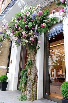 a tall tree with lots of flowers growing out of it's trunk in front of a building