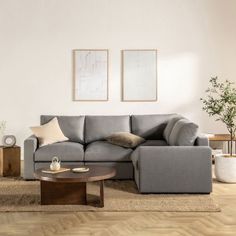 a living room with a gray couch and coffee table