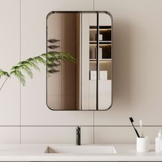 a bathroom sink with a mirror above it and a plant on the counter next to it