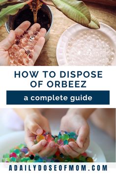 how to dispose of orbeez a complete guide for kids and adults