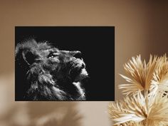 a black and white photo of a lion on a wall next to a potted plant