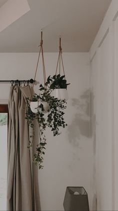 a plant hanging from the ceiling next to a window with drapes and curtains on it