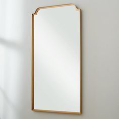 a large mirror hanging on the wall next to a white wall with a plant in it