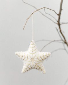 a white star ornament hanging from a tree branch