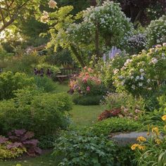 a garden filled with lots of different types of flowers