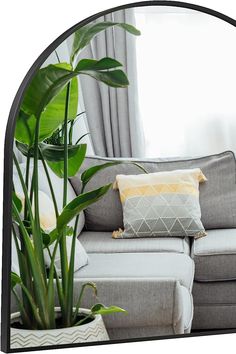 a living room with a couch, chair and large potted plant in the corner