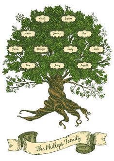 a family tree with the names of people in it and an image of their roots