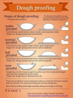 dough info sheet with instructions for dough proofing and how to use it in the kitchen