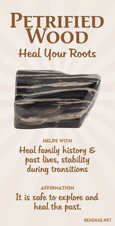 Petrified Wood Meaning, Energy Vibes, Crystals Healing