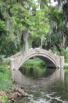 a stone bridge over a body of water surrounded by lush green trees and spanish moss