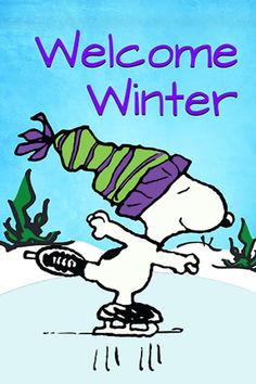 a charlie brown book cover with a cartoon character on a skateboard and the words welcome winter