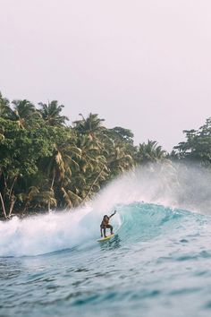 a man riding a wave on top of a surfboard in front of palm trees