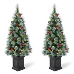 two artificial christmas trees with lights and pine cones in black planters on white background