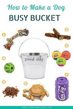 an image of how to make a dog busy bucket