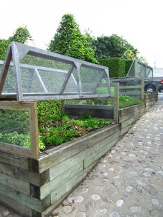 an outdoor garden area with various plants growing in the planter boxes and fencing around it