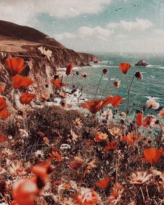 an image of flowers by the ocean with birds flying over it and in the background