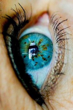 an eye with the reflection of a house in it