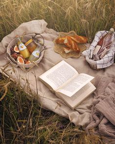 an open book is sitting on a blanket in the middle of a field with bread and fruit