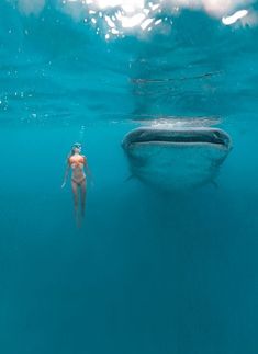 Oceanography Marine Biology, Swimming With Whale Sharks, Wow Photo, Whale Sharks, Cebu Philippines, Ocean Vibes, Under Water, Whale Shark