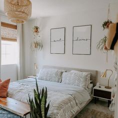 a bed sitting in a bedroom next to a window with plants on the wall above it