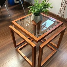 a glass table with a plant on top