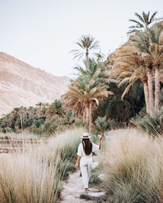 a woman walking down a dirt path in the middle of palm trees and tall grass