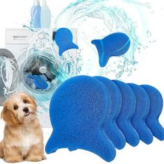 a dog sitting next to a pile of blue cleaning sponges and a dryer