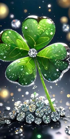 a four leaf clover with water droplets on it