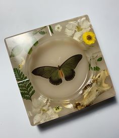 a glass plate with a butterfly on it