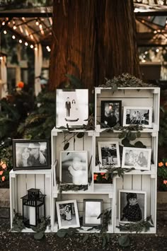 an assortment of pictures and frames are stacked on top of each other in front of a tree