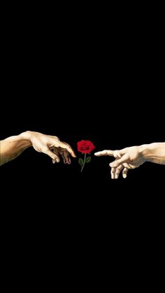 two hands reaching out towards each other to touch a red rose that is being held by another hand