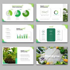 the green powerpoint presentation is displayed in four different sections, including an image of vegetables and