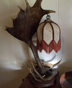 an antler's head and lamp hanging on a wall