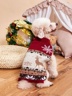 a white poodle wearing a red sweater standing on the floor