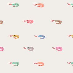 colorful fish on a white background with pink, blue and green colors in the middle