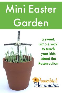 a potted plant with grass in it and the words mini easter garden written below