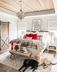 two dogs laying on the floor in front of a bed with red and white blankets